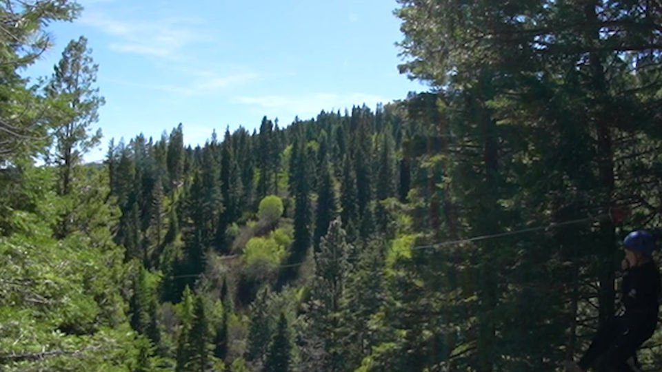 Fall Activities Promotion